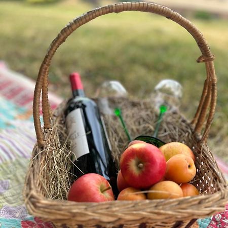 דירות Biesheim Colmar Cote Rhin מראה חיצוני תמונה